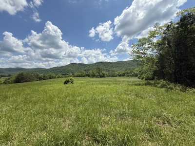 Scenic Land For Sale In The North Central Arkansas Ozarks - image 11