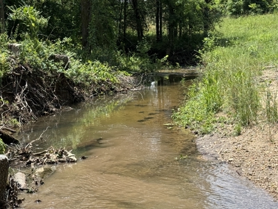 Scenic Land For Sale In The North Central Arkansas Ozarks - image 2