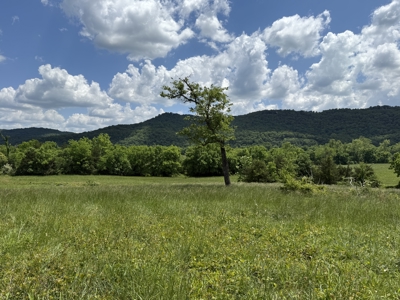 Scenic Land For Sale In The North Central Arkansas Ozarks - image 6