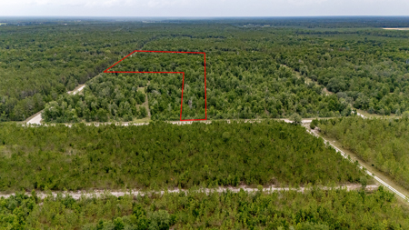 Land for Sale in High Springs, FL - image 4