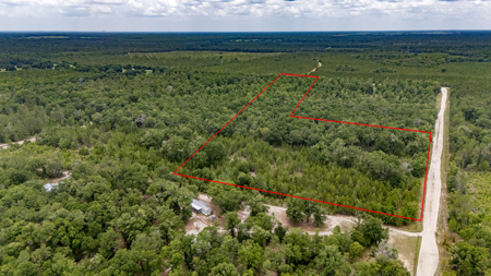 Land for Sale in High Springs, FL - image 3