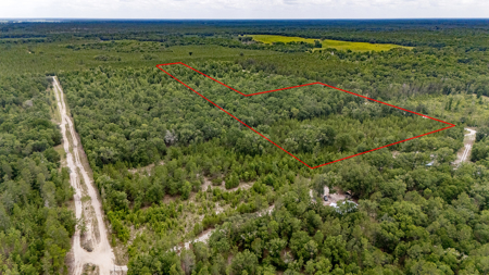 Land for Sale in High Springs, FL - image 2