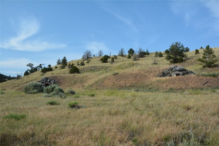 Commercial Land For Sale in Emigrant, MT! - image 2