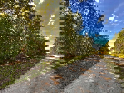 Vacant Land in High Springs, FL - image 12