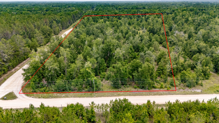 Vacant Land in High Springs, FL - image 2