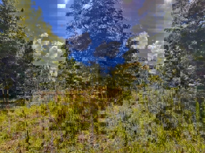 Vacant Land in High Springs, FL - image 14