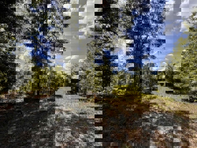 Vacant Land in High Springs, FL - image 16
