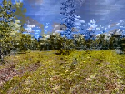Vacant Land in High Springs, FL - image 10