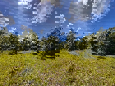 Vacant Land in High Springs, FL - image 8