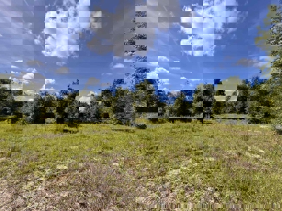 Vacant Land in High Springs, FL - image 13