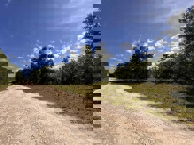 Vacant Land For Sale In Gilchrist County, FL - image 8