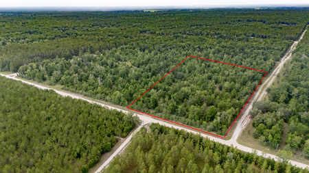 Vacant Land For Sale In Gilchrist County, FL - image 1