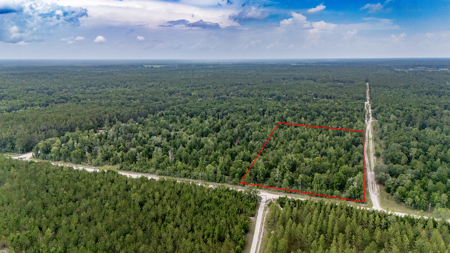 Vacant Land For Sale In Gilchrist County, FL - image 2
