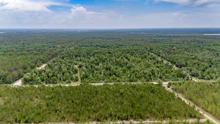 Vacant Land For Sale In Gilchrist County, FL - image 3