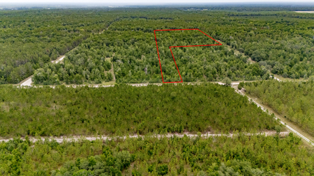 Land For Sale In Gilchrist County, FL - image 5