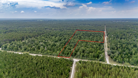 Land For Sale In Gilchrist County, FL - image 2