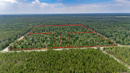 Land For Sale In Gilchrist County, FL - image 6