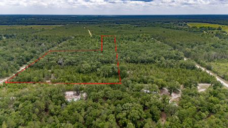 Land For Sale In Gilchrist County, FL - image 4