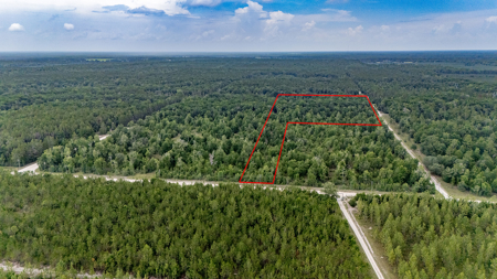 Land For Sale In Gilchrist County, FL - image 1