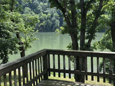 Log Cabin On The Banks Of The White River, Mountain View Arkansas - image 19