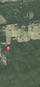 Land For Sale Adjoining Ouachita National Forest - image 8