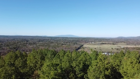 Land For Sale Adjoining Ouachita National Forest - image 3