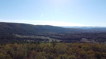 Land For Sale Adjoining Ouachita National Forest - image 2