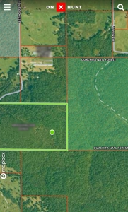 Land For Sale Adjoining Ouachita National Forest - image 10