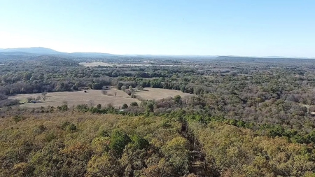 Land For Sale Adjoining Ouachita National Forest - image 6