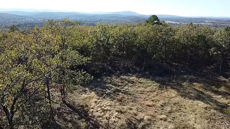 Land For Sale Adjoining Ouachita National Forest - image 4