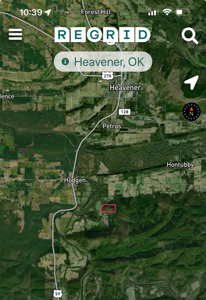 Land For Sale Adjoining Ouachita National Forest - image 9