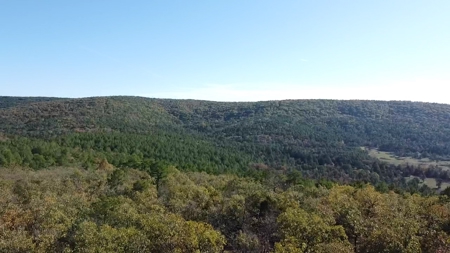 Land For Sale Adjoining Ouachita National Forest - image 1