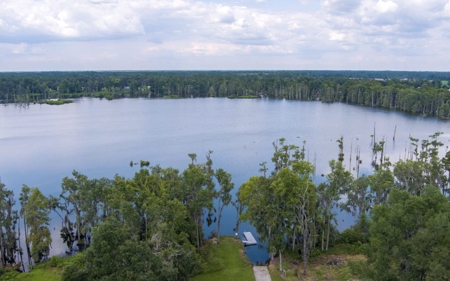 Lakefront Home on 3 Lots For Sale in Jennings, Florida! - image 31