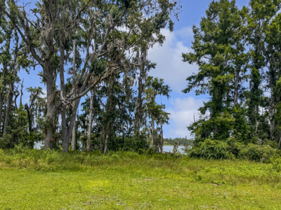 Lakefront Home on 3 Lots For Sale in Jennings, Florida! - image 27