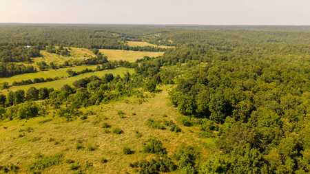 440 Acre Ranch for sale in Arkansas - image 24