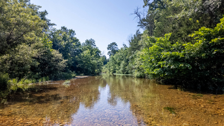 440 Acre Ranch for sale in Arkansas - image 11