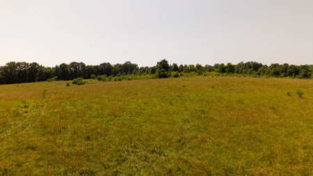 440 Acre Ranch for sale in Arkansas - image 12