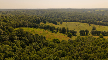 440 Acre Ranch for sale in Arkansas - image 23