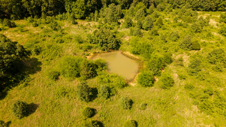 440 Acre Ranch for sale in Arkansas - image 16