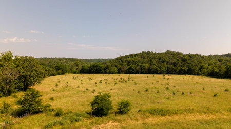 440 Acre Ranch for sale in Arkansas - image 14