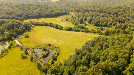 440 Acre Ranch for sale in Arkansas - image 26