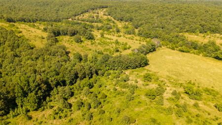 440 Acre Ranch for sale in Arkansas - image 17