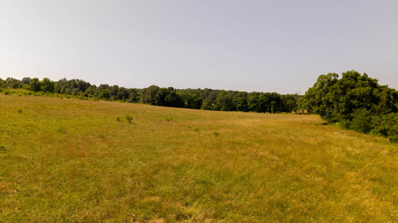 440 Acre Ranch for sale in Arkansas - image 13