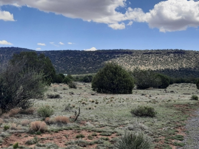 GORGEOUS 36 acre off grid parcel with IMPROVEMENTS!! - image 4