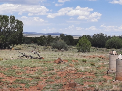 GORGEOUS 36 acre off grid parcel with IMPROVEMENTS!! - image 9