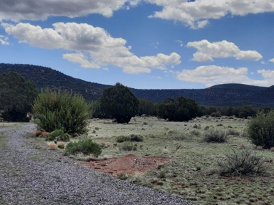 GORGEOUS 36 acre off grid parcel with IMPROVEMENTS!! - image 2