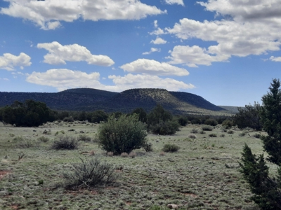 GORGEOUS 36 acre off grid parcel with IMPROVEMENTS!! - image 3