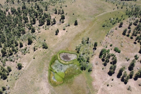 161 Acres San Juan Mountain Land for Sale in Placerville, CO - image 14