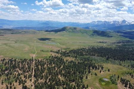161 Acres San Juan Mountain Land for Sale in Placerville, CO - image 7