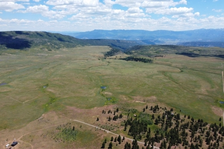 161 Acres San Juan Mountain Land for Sale in Placerville, CO - image 10